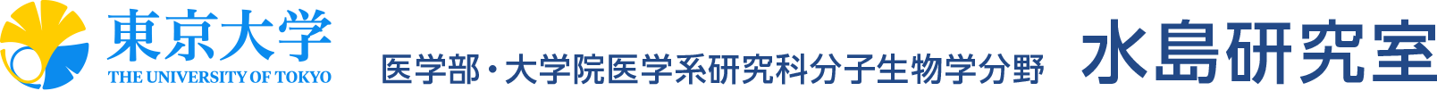 水島研究室 分子生物学分野 | 東京大学 医学部・大学院医学系研究科