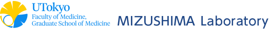 MIZUSHIMA Laboratory | The University of Tokyo, Graduate School and Faculty of Medicine